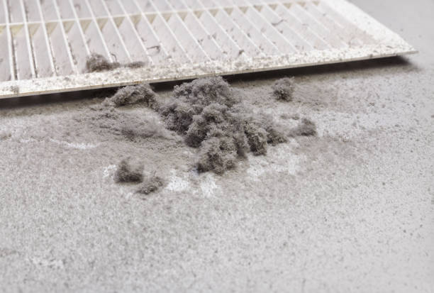 Best Ventilation Cleaning Services  in Town And Country, MO