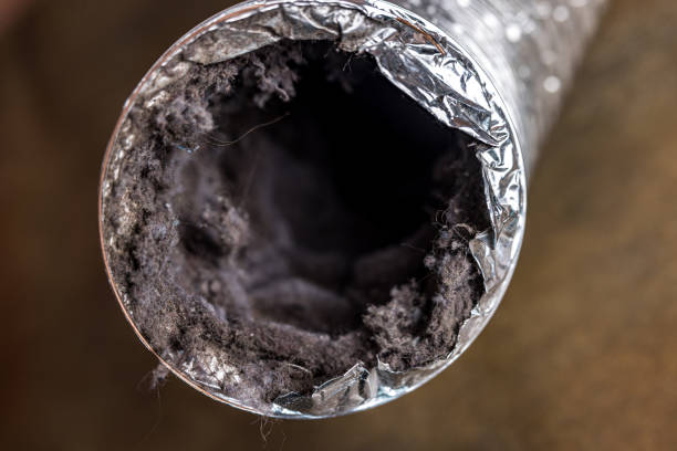 Best Commercial HVAC Duct Cleaning  in Town And Country, MO